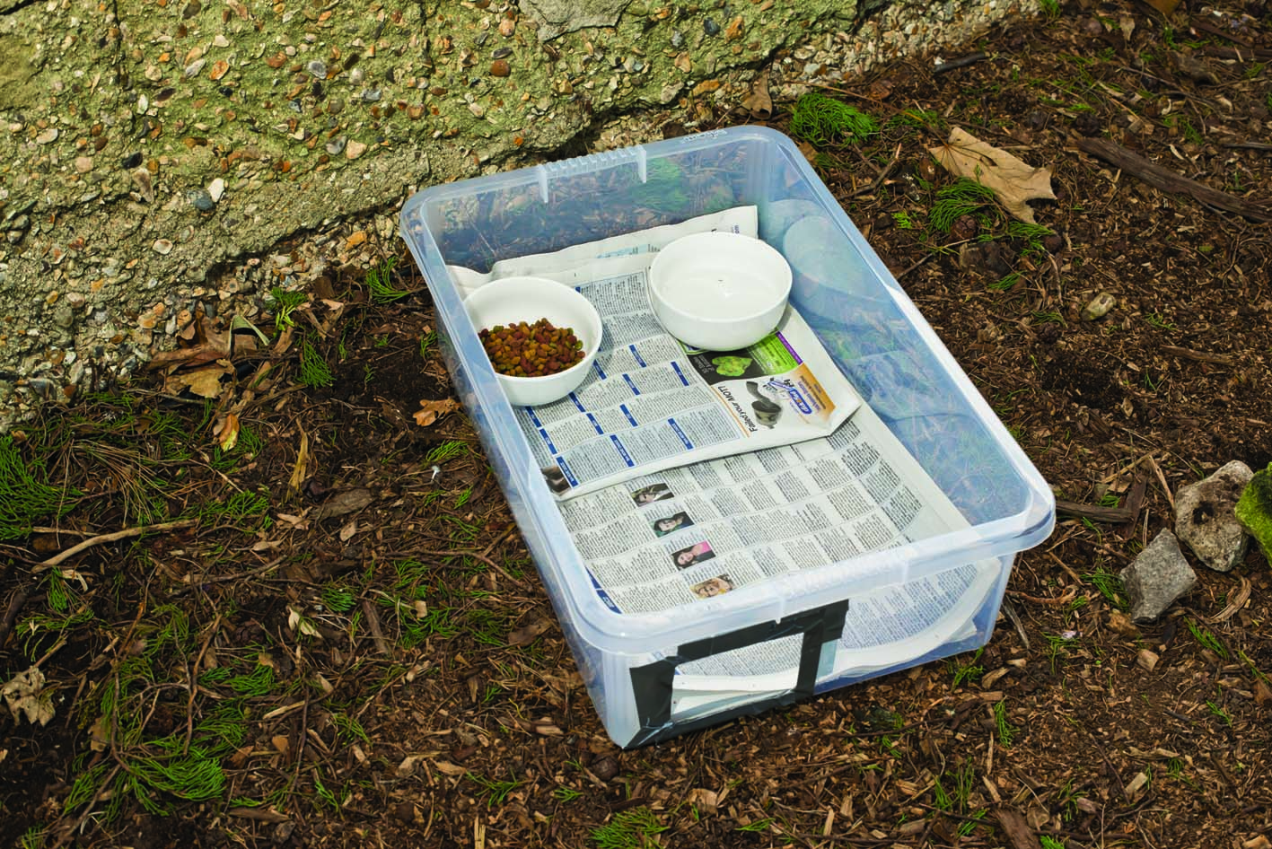 QLS Maison Pour Hérisson Hivernale Isolée - Protection Contre Les Rats - Bois Pin Naturel