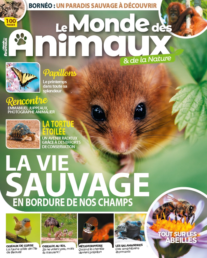 Le Monde des Animaux magazine